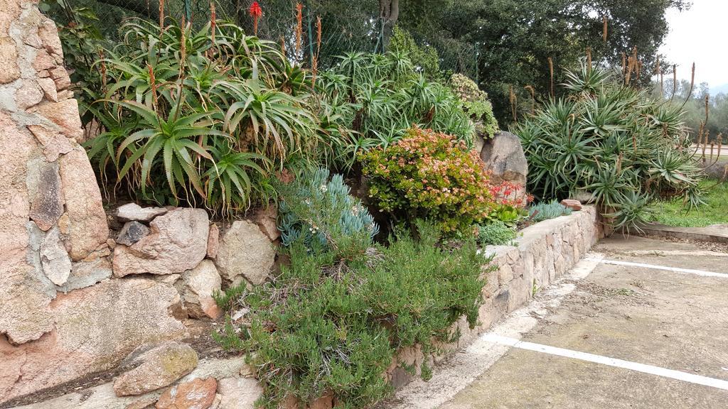 Corsica Hostel Porto-Vecchio, Partie Dortoirs Екстер'єр фото